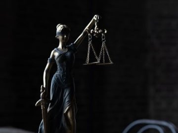 Как проходит банкротство для сотрудников ветеринарии в России